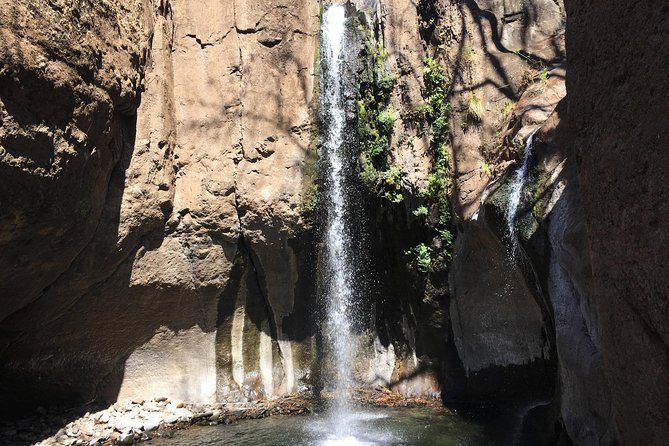 Wet & Wild: Tamanique Waterfalls + Craft Beer sampling & Lunch - Practical Considerations and Who Will Love This Tour