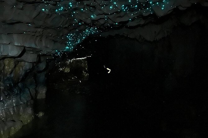 From Hamilton: Waitomo Glowworm & Cave Explorer Small Group Tour - The Itinerary in Detail