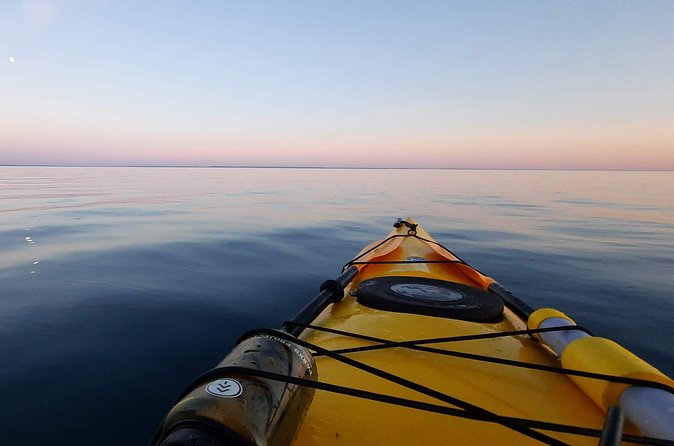 Kayak Trips on Lake Superior, Lutsen, MN (Lutsen Sea Villas) - Who Will Love This Experience?