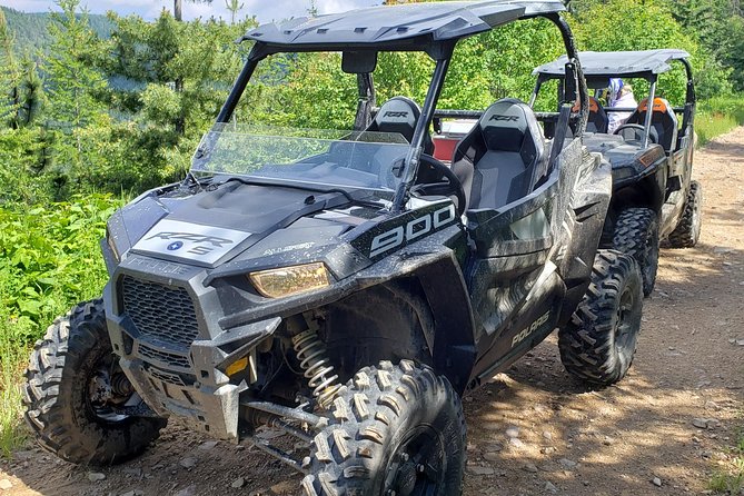 Guided Off-Road Vehicle Tours in North Idaho Forests - A Deep Dive into the Off-Road Experience