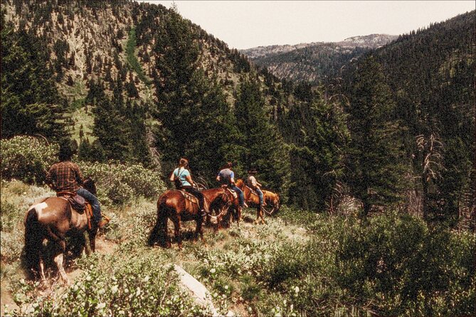 Guided Horseback Trail Rides - Exploring Idaho’s Boise National Forest on Horseback