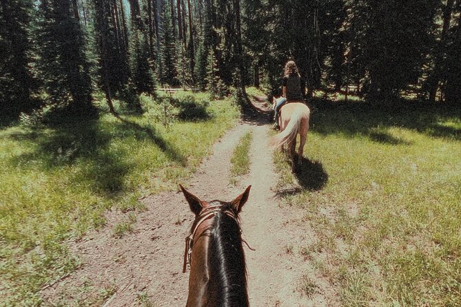 Guided Horseback Trail Rides - Final Thoughts