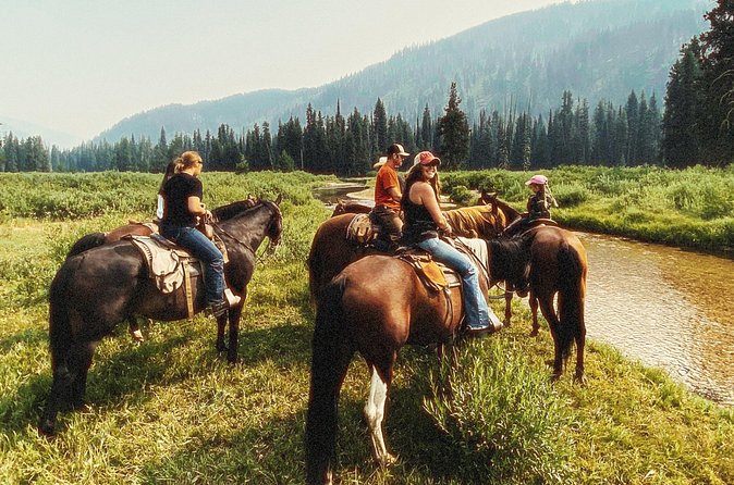 Guided Horseback Trail Rides - Who Should Book This Tour?