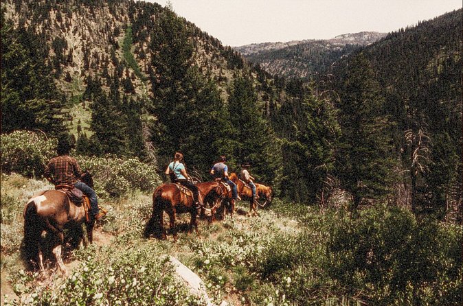 Guided Horseback Trail Rides - FAQ