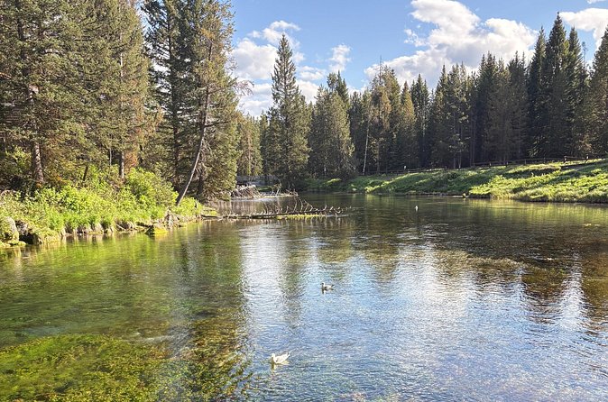 Guided ATV Tours and Explore Hidden Gems in the Yellowstone area - What should travelers know before booking?
