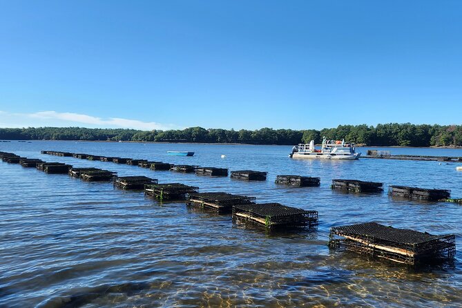 Oyster Tasting and Kayak Tour - What Makes This Tour Stand Out?