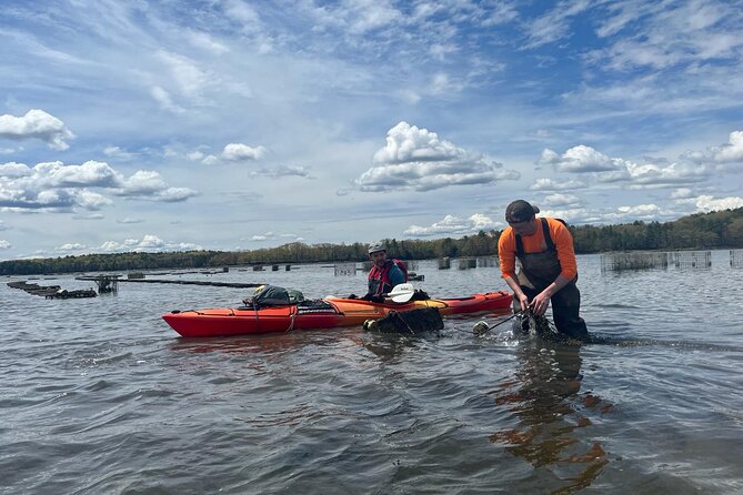 Oyster Tasting and Kayak Tour - Exploring the Oyster Tasting and Kayak Tour: A Perfect Mix of Nature and Fresh Seafood