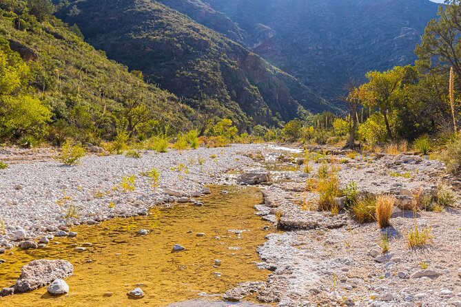Guadalupe Mountains Self-Guided Audio Driving Tour - FAQs