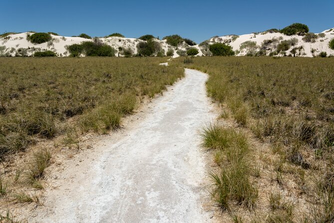 White Sands National Park Self-Guided Driving & Walking Tour - Dune Life Nature Trailhead