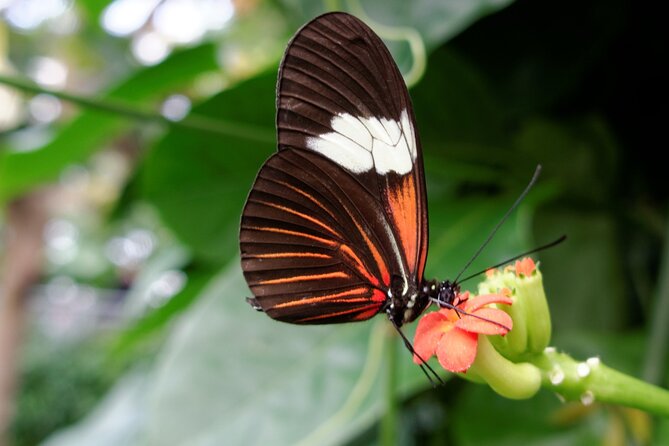 Cuyahoga Valley National Park Self-Guided Driving Audio Tour - Final Thoughts