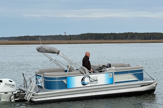 Wildlife Boat Tour with Wild Ponies and Dolphins in Chincoteague - The Natural Landscape and Wildlife Encounters