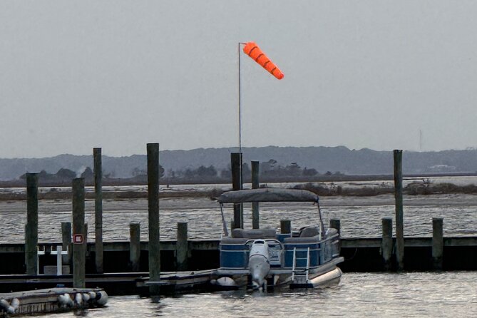 Wildlife Boat Tour with Wild Ponies and Dolphins in Chincoteague - The Sum Up