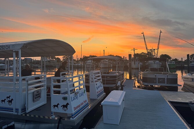 Narrated Sunset Wild Pony Cruise in Chincoteague - Analyzing the Value