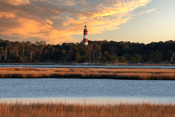 Narrated Sunset Wild Pony Cruise in Chincoteague - A Closer Look at the Journey