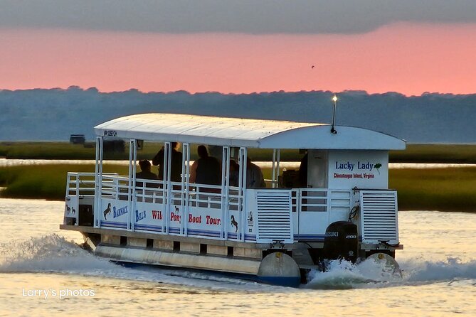 Narrated Sunset Wild Pony Cruise in Chincoteague - Who Will Love This Tour?