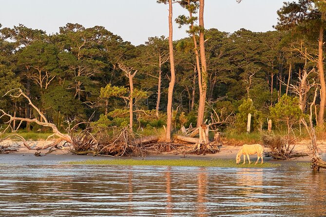 Narrated Sunset Wild Pony Cruise in Chincoteague - Final Thoughts