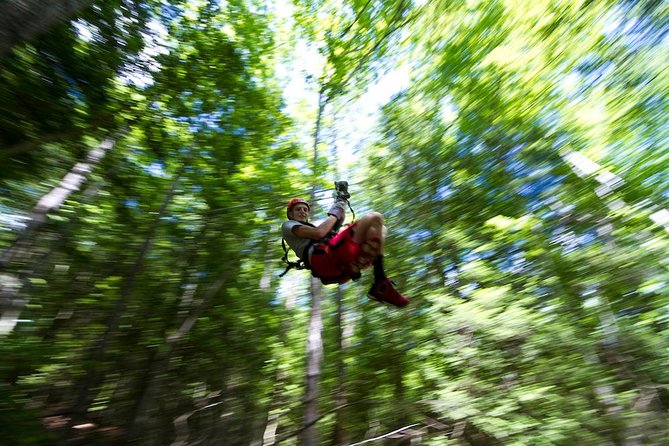 New River Gorge Zip Line Canopy Tour - Key Points