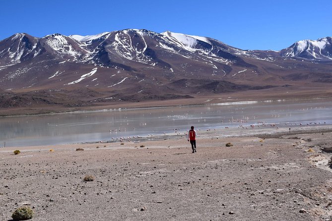 Salar De Uyuni (3 Days/ 2nights) English Guide - Additional Considerations