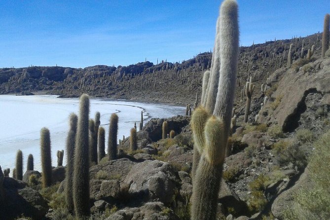 Semi-Private: 3-Day Uyuni Salt Flats and Colored Lagoons w/ Private Hotel - FAQ