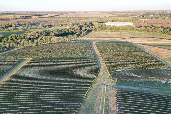 Wine Tour to Colonia Caroya, Cordoba - Half Day - Experience the Charm of Córdoba’s Wine Country with a Half-Day Tour to Colonia Caroya