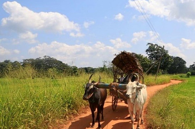 Pidurangala & Hiriwaduna Village Tour from Kandy - Final Thoughts