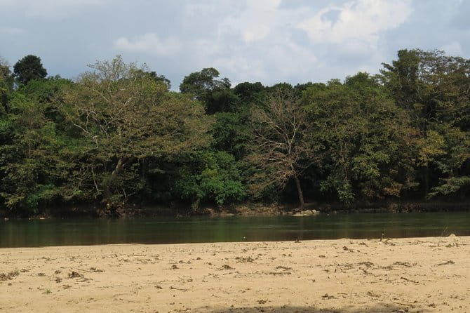 Wasgamuwa National Park Safari from Kandy - What You Get for the Price