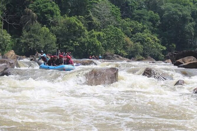 Wasgamuwa National Park Safari from Kandy - Final Thoughts: Is This Tour Worth It?