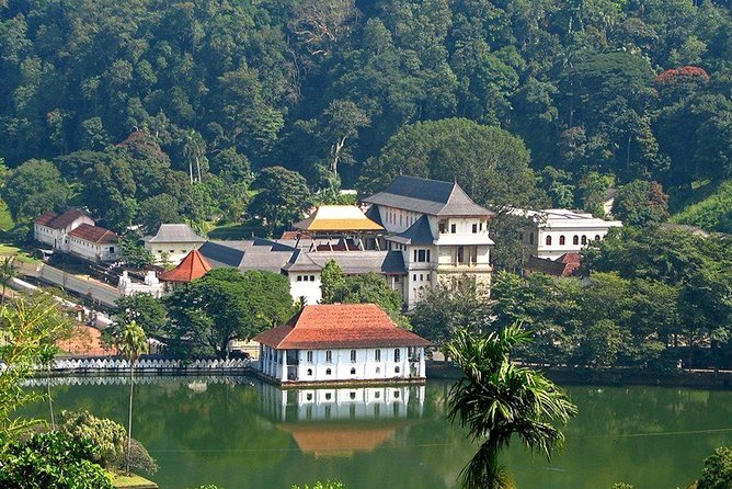 Kandy City Tour by Lux Tours Lanka - Who Should Consider This Tour?