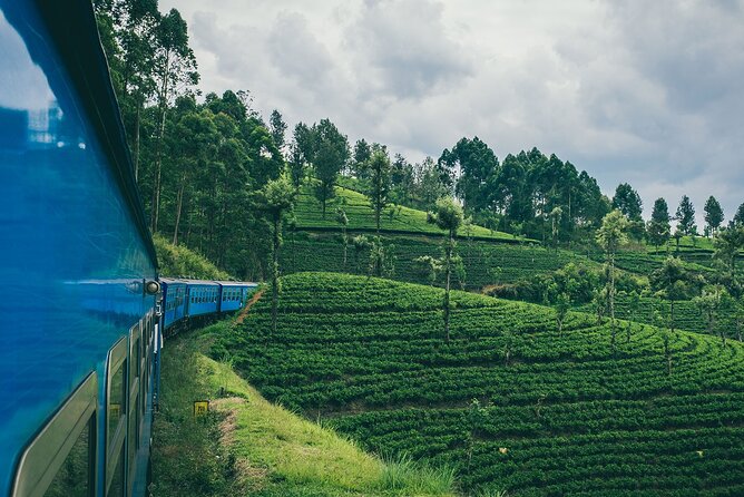 First Class Scenic Train Ticket From Kandy To Ella - Who Should Consider This Experience?