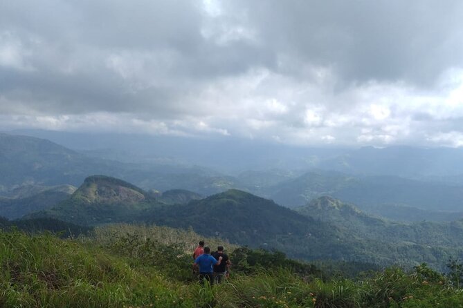 3 Days Tour to Sigiriya,Nuwaraeliya to Ella from Kandy - Who Will Love This Tour?