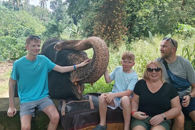 3 Days Tour to Sigiriya,Nuwaraeliya to Ella from Kandy - A Deep Dive into the 3-Day Itinerary