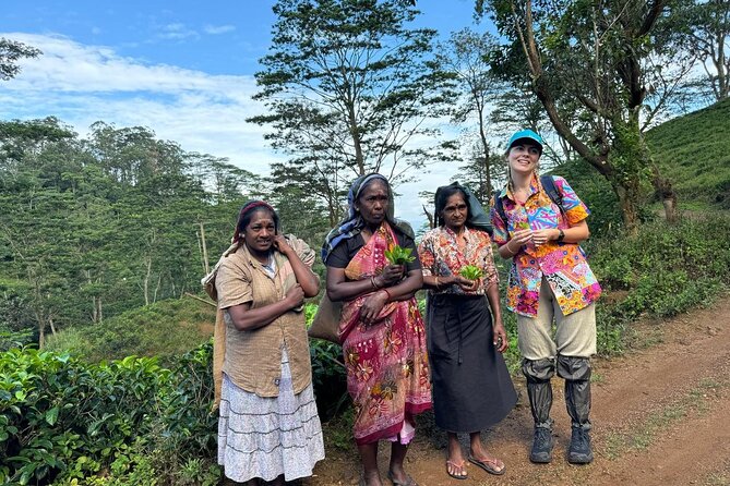 Pekoe Trail Stage 1- Scenic Trek from Hanthana to Galaha - Who Will Love This Trek?