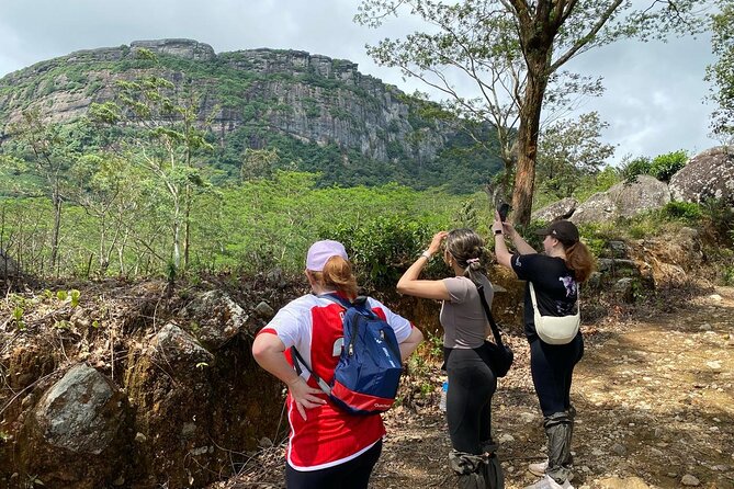 Pekoe Trail Stage 1- Scenic Trek from Hanthana to Galaha - Good To Know