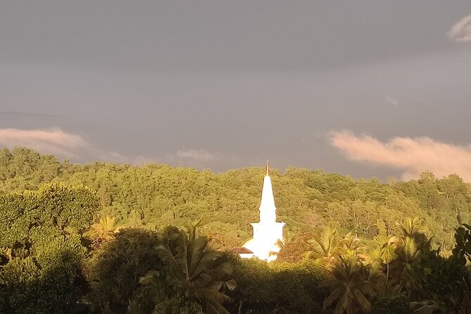 Kandy City Private Tour - The Transportation & Duration