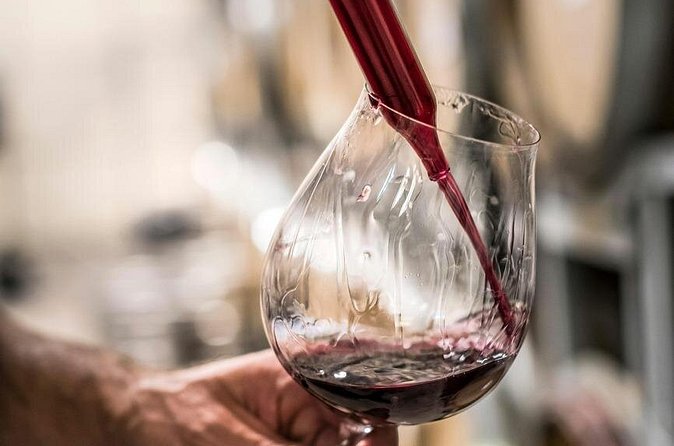 Marlborough Afternoon Wine Tour Taste Local Wines - The Experience: Tasting and Scenery