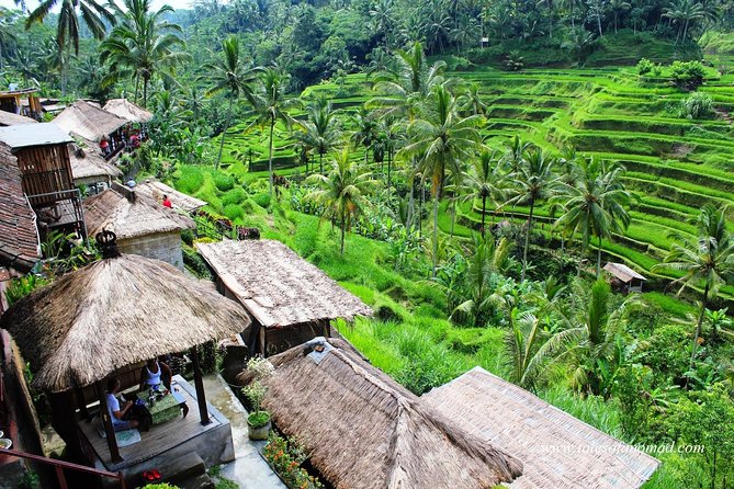 Charter Standard Vehicle with Driver at Bali- 5 Hours Usage - What Makes This Tour Stand Out?