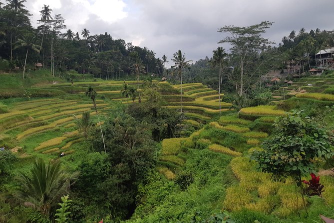 Ubud All Inclusive Sightseeing Tour - What Makes This Tour Stand Out