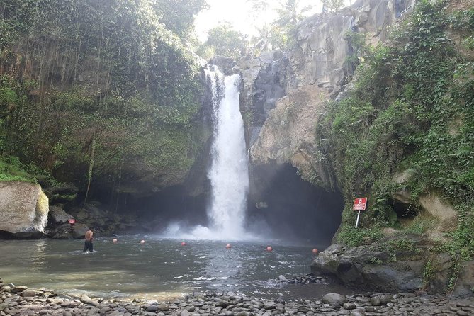 Ubud All Inclusive Sightseeing Tour - A Deep Dive into the Itinerary and What to Expect