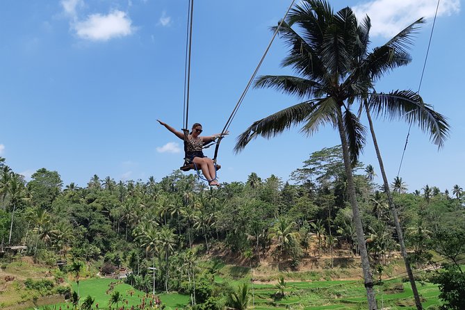 Ubud All Inclusive Sightseeing Tour - Who Is This Tour Best For?