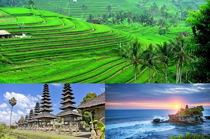 Jatiluwih Rice Terrace & Tanah Lot Tours - Good To Know