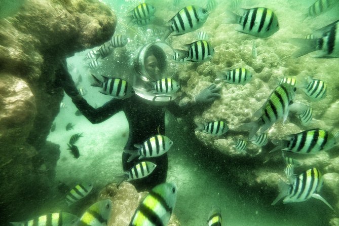 Best Package 3 in One Water Sport - Frequently Asked Questions