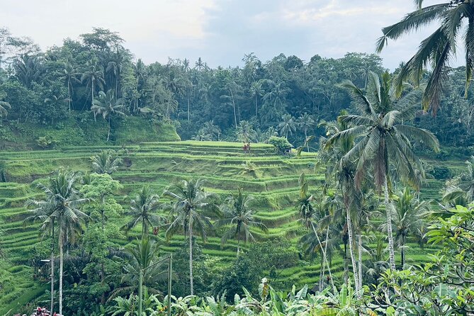 Benoa Port - Cruise Ship Shore Excursion - Private Guided Tour - A Closer Look at the Itinerary