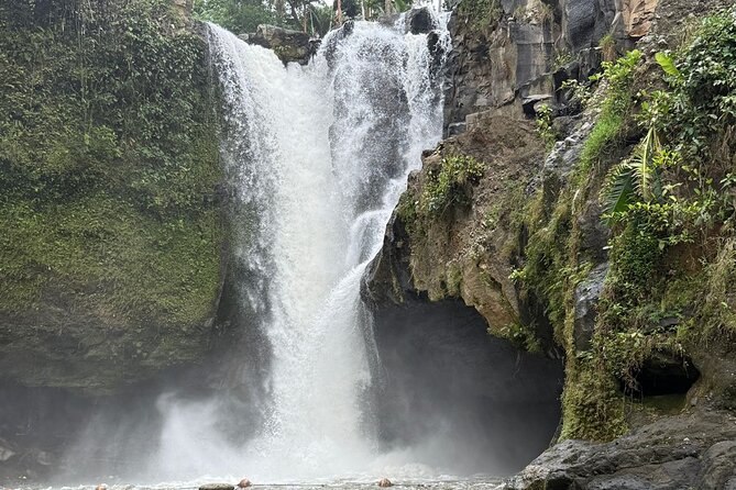 Benoa Port - Cruise Ship Shore Excursion - Private Guided Tour - What Travelers Are Saying