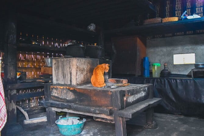 Highlight of Bali Tour - Things to Keep in Mind