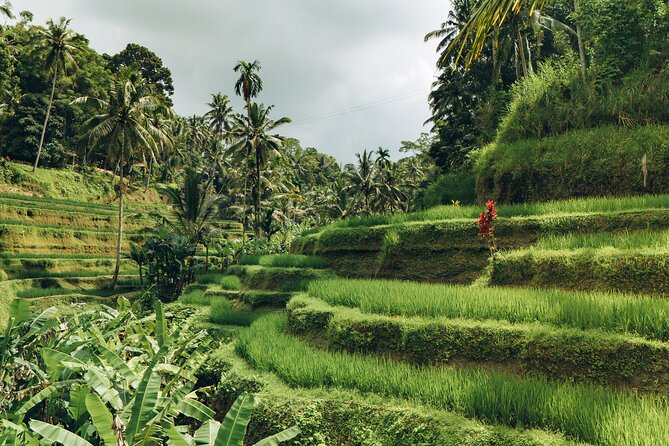 Bali Private Car Full Day Customized Tour With Drone Service - FAQ