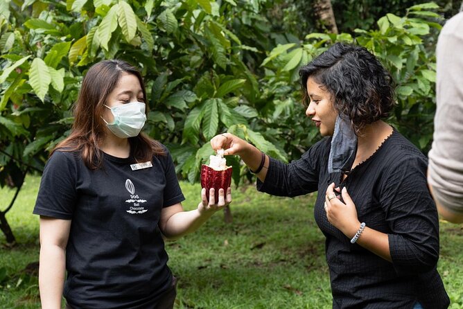 Half-Day Private Tour to Tanah Lot and Bali Royal Temple - The Showstopper: Tanah Lot Temple