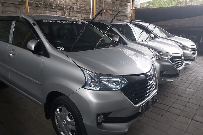 Bali Private Car Charter - Who Will Love This Tour?