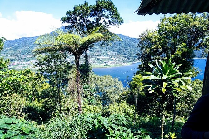 Unforgettable Tour Lovina See Dolphin And Banyumala Waterfall - Final Thoughts: Is This Tour Right for You?