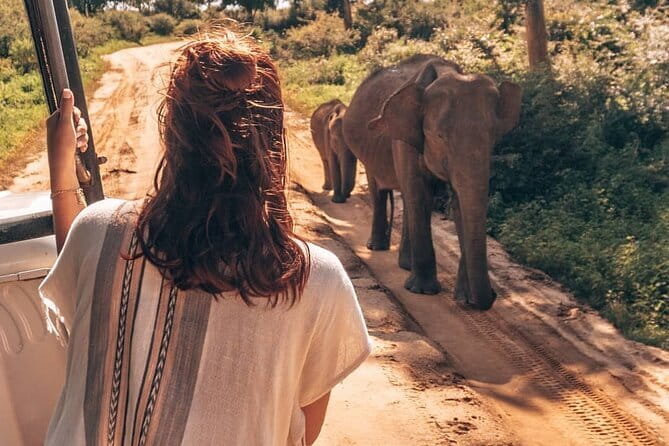 Galle/Mirissa/Tangalle: Transfer to Ella & Yala/Udawalawa Safari - FAQ