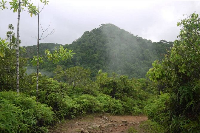 Sinharaja Rain Forest Tour from Tangalle - Final Thoughts: Who Will Love This Tour?